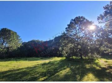 Terreno / Lote · 4536m² · Venta de Terreno en El Bosque de La Primavera en Jalisco Lote 8