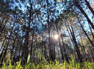 Terreno / Lote · 4246m² · Venta de Terreno en El Bosque de La Primavera en Jalisco Lote 2