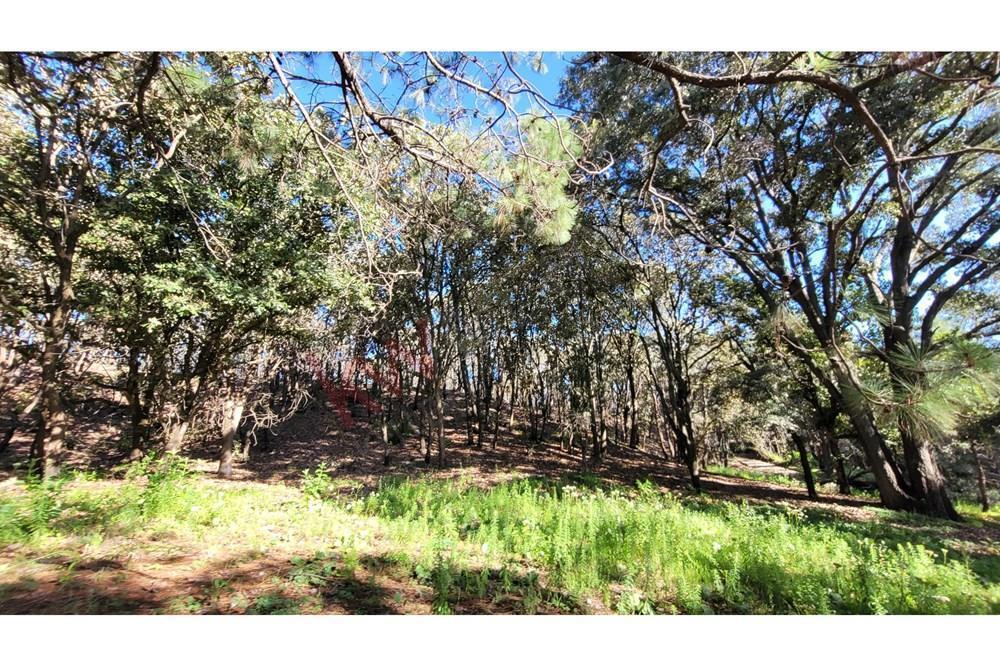 Venta de Terreno en El Bosque de La Primavera en Jalisco Lote 5