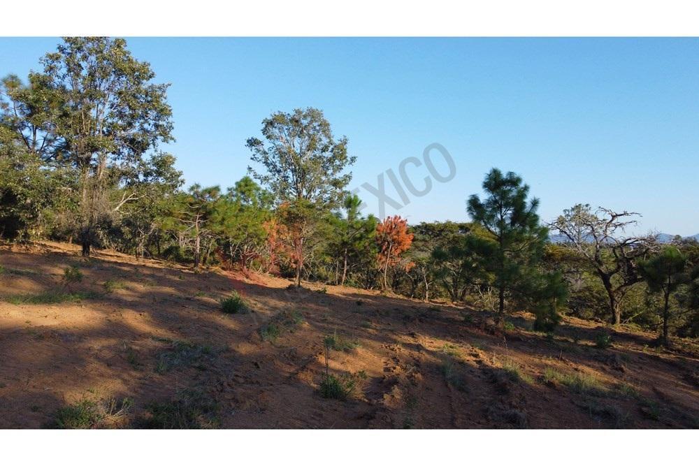 Terrenos Campestres a 30 Min de Tapalpa