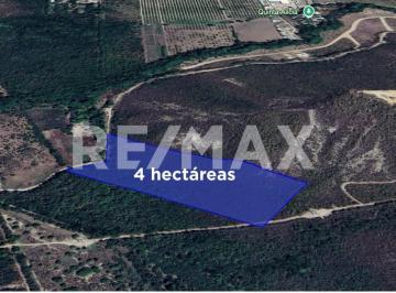 Terreno / Lote · 43713m² · Terreno Residencial Cerca del Hospital General de Montemorelos - (4)