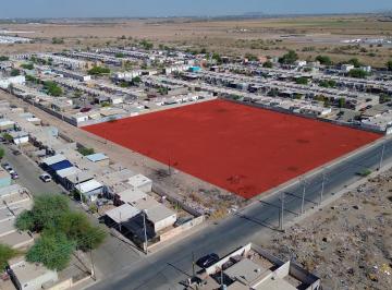 Terreno / Lote · 10000m² · Venta Terreno, Colonia Buenos Aires, Calle Mirabueno - (4)
