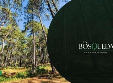 Terreno / Lote , Tapalpa · Lote Exclusivo en Venta en La Bosqueda, Tapalpa – 1,829 m² Rodeado de Bosque y Paz.