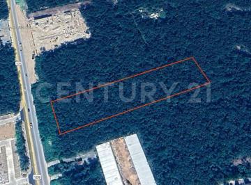 Terreno / Lote · 10000m² · Terreno en Venta - Tulum, Quintana Roo.