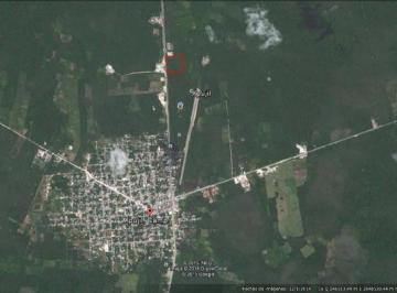 Terreno / Lote · 20000m² · Venta de Terreno Para Ecoturismo, en Xpujil, Campeche