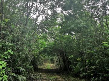 ¡Escapa a la serenidad de Los Coquitos!
Venta de 1 lote de 5,000 metros en 190.0 · Terreno 5000 m "Los Coquitos" Zona Agricola