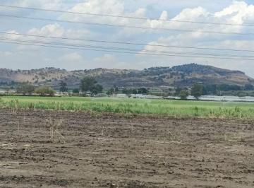 Terreno / Lote · 57389m² · Terreno en Tala Ideal Inversionista Listo Para Escriturar