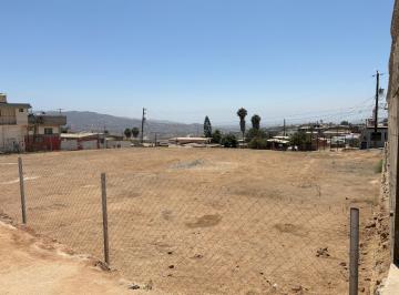 Terreno / Lote · 1000m² · Terreno de 1,000 m² a La Venta en Ensenada, B. C. - (4)