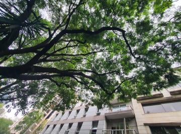 Departamento de 3 habitaciones, Miguel Hidalgo · PH Exterior Remodelado con Amplios Espacios en Campos Elíseos, Polanco