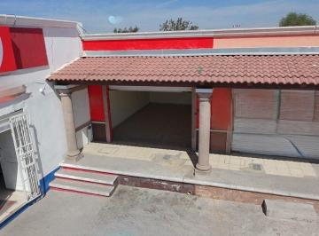 Local comercial · 1m² · 12 Estacionamientos · Local en Venta, La Estancia, Apaseo El Grande Gto