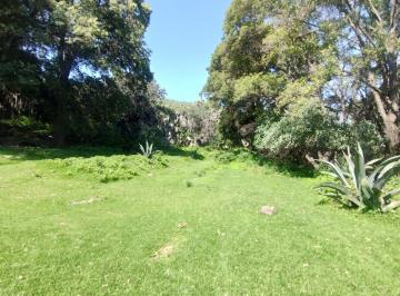 Terreno / Lote · 15000m² · Terreno Boscoso en Venta en Bermudez, Pueblo Magico de Huasca de Ocampo, Hgo.