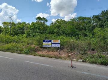 Terreno / Lote , Kaua · Terreno de 30 Hectáreas en Venta a 10 Min de Chichén Itzá