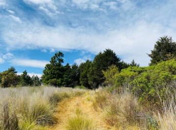 Terreno / Lote · 5000m² · Terrenos Venta Salazar Lerma Mex