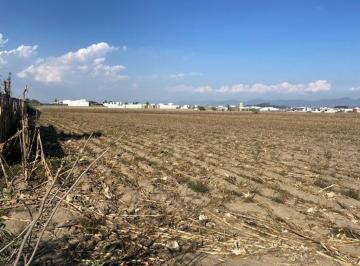 Terreno comercial · 24341m² · Terreno en Venta en Calimaya