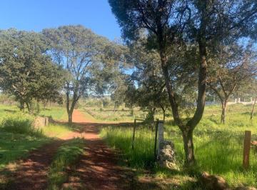 Terreno / Lote , Apizaco · Campestre La Colina Terrenos en Venta Apizaco, en Preciosa Zona Ideal Para Inversión y Desarroll