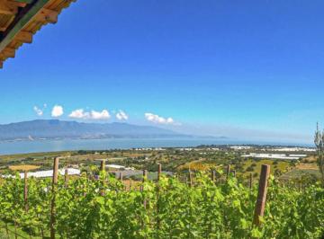 Terreno / Lote , Jocotepec · Terreno en Venta | Lago de Chapala | Ribera del Cardenal