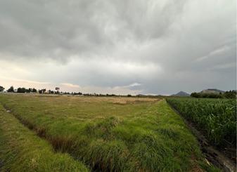 Terreno / Lote · 8005m² · Terreno en Venta Palmillas