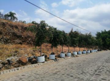 Terreno / Lote , Cuernavaca · Terreno en Vista Hermosa