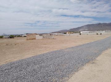 Terreno / Lote , Arteaga · Terreno en Renta en Arteaga, Coahuila