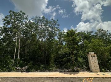 Terreno / Lote , Benito Juárez · Terreno en Venta en Losantos