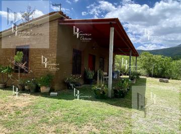 Terreno / Lote · 10000m² · Terreno en Venta en San Felipe del Agua