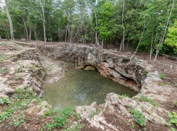 Terreno / Lote , Puerto Morelos · Terreno en Venta, Leona Vicario. Puerto Morelos, Quintana Roo.