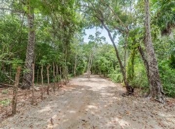 Terreno / Lote , Puerto Morelos · Terreno en Venta, Leona Vicario. Puerto Morelos, Quintana Roo.