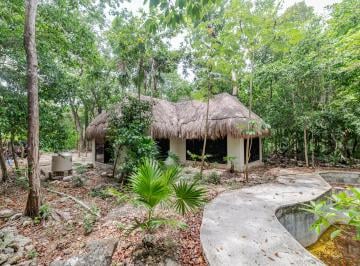 Terreno / Lote , Puerto Morelos · Terreno en Venta, Leona Vicario. Puerto Morelos, Quintana Roo.
