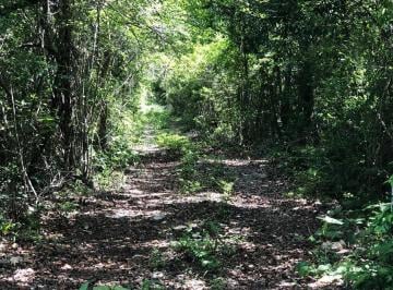 Terreno / Lote · 100000ha · Terrenos en Venta en Puerto Aventuras Riviera Maya