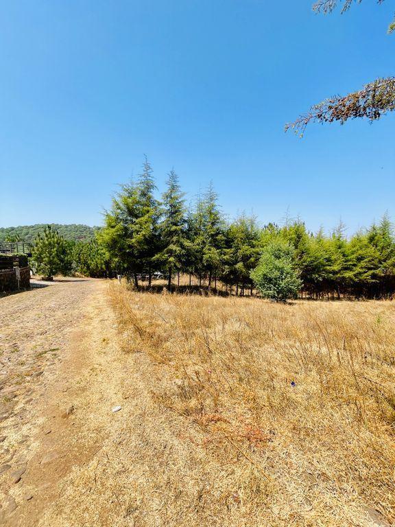 Terreno en Venta en La Esmeralda Mazamitla