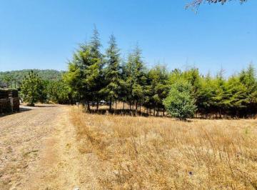 Terreno / Lote · 1014m² · Terreno en Venta en La Esmeralda Mazamitla