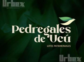 Terreno / Lote · 500m² · Lotes en Venta en Ceibas de Ucú, Yucatán