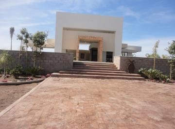 Terreno industrial , Guasave · Terreno Industrial en Venta / Renta