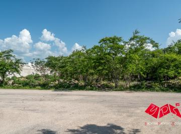 Terreno / Lote , Chicxulub Pueblo · Amplio Terreno en Bosques de Chicxulub – Vida Tranquila con Excelente Conectividad