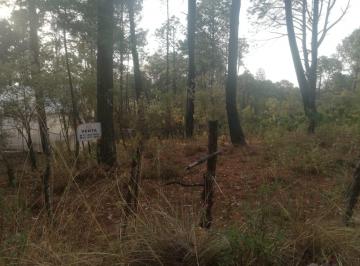 Terreno / Lote , Tapalpa · Terreno en Venta