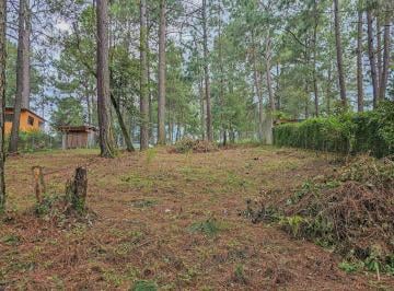 Terreno / Lote · 1000m² · Terreno en Venta con Escritura a 10 Minutos del Centro de Avándaro.