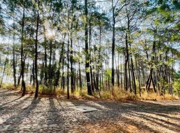 Terreno / Lote · 2576m² · Venta de Lote de 2,576 m en El Bosque de Los Cazos Mazamitla