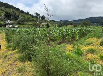 Terreno / Lote · 15397m² · Terreno en Plan de La Flor Ixtacamaxtitlan Puebla