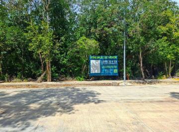 3b77367c61e41aed87a925c755f2b46f0e88e892cd29588441458f9f34b64082 · Lotes Condominales en Venta en Selvazama – Aldea Zama