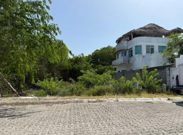 Terreno / Lote , Solidaridad · Terreno en Venta - en Los Almendros