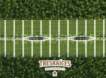 Terreno / Lote · 300m² · Terreno en Venta en Desarrollo Tres Raices Lote 223, en Flamboyanes, Progreso