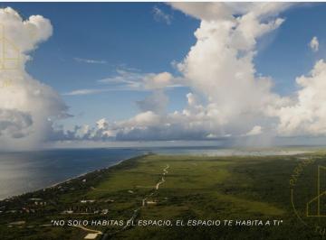 Dron view · Nueva Tulum - Lotes Premium en Soy Tulum con Amenidades y Fideicomiso Seguro
