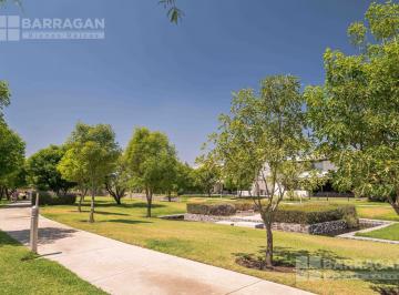 Terreno / Lote · 732m² · Lote Residencial El Venta en Esquina Frente a Área Verde en El Campanario