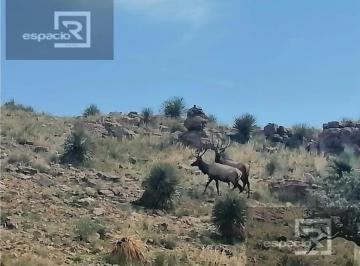 Quinta · Rancho en Venta en Namiquipa