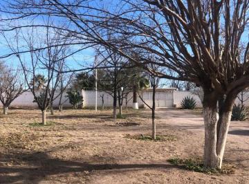 Terreno / Lote · 5000m² · 2 Recámaras · Nogalera en Venta en Delicias con Casa y Alberca