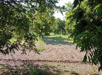 Quinta · 714030016m² · 4 Recámaras · Nogalera en Venta con Equipo y Maquinaria, en Flores Magon. Chih