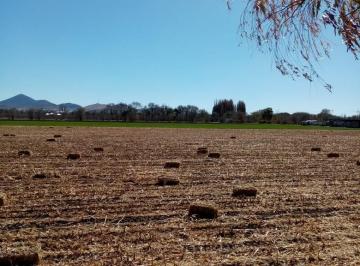 Terreno / Lote · Terreno en Venta en El Campo 25 Libramiento Junto a Planta Tratadora de Agua