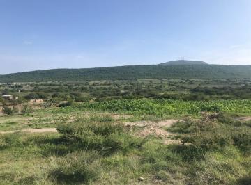 Terreno comercial , Huimilpan · Terreno Campestre en Venta Ejido Vegil