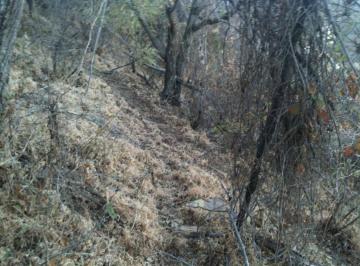 Terreno / Lote , Tlajomulco de Zúñiga · Terreno de Una Hectárea en Venta, Cerca Al Lago de Chapala