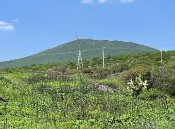 Terreno comercial · 56748m² · Terreno en Venta en Los Olvera - (4)